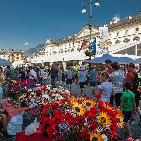 La Tana Del Riccio - Bilocale Con Giardino E Jacuzzi Sulla Collina Di * Aosta